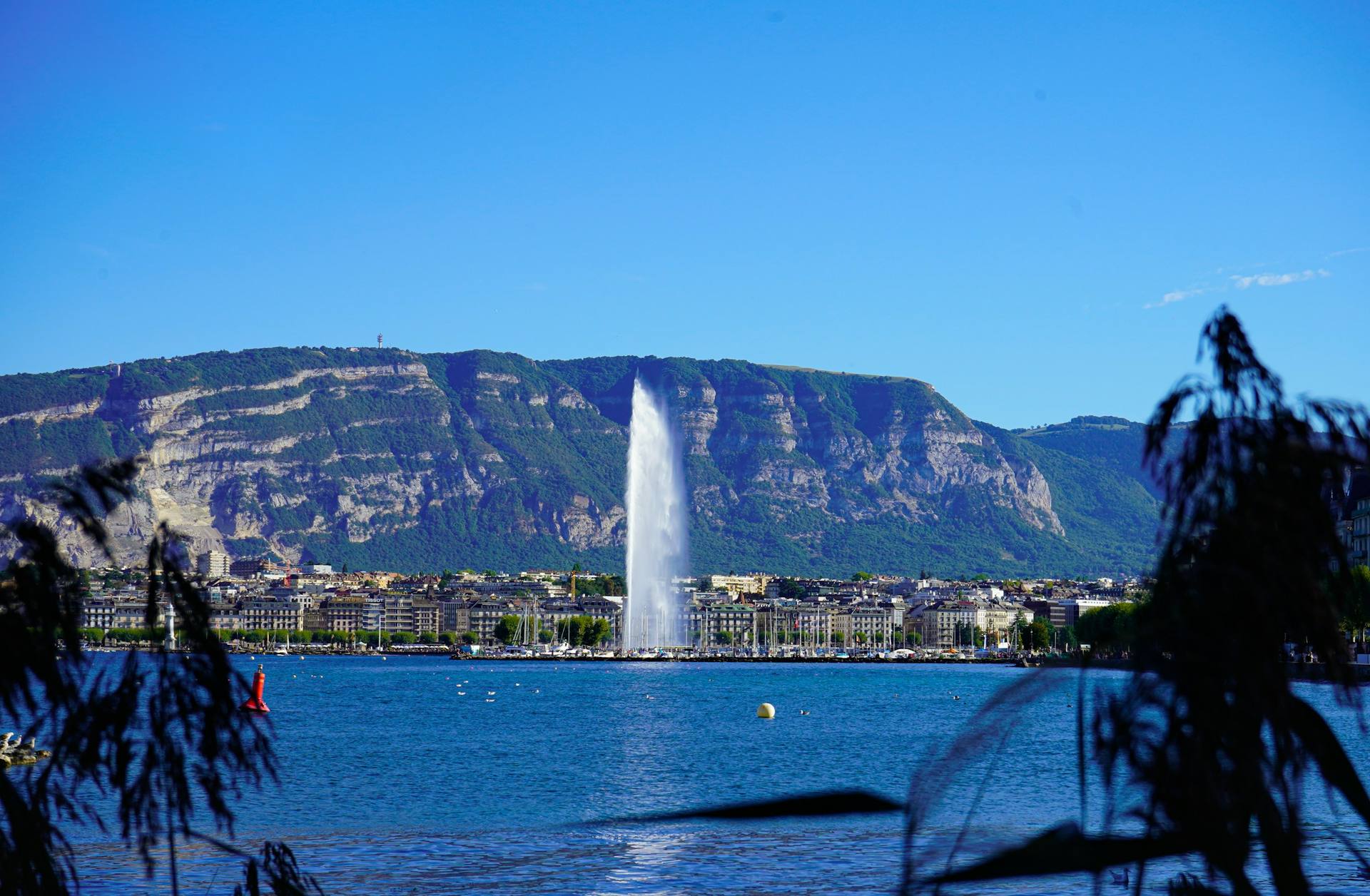 Le Jet d’eau et la rade, encadrés de feuillages